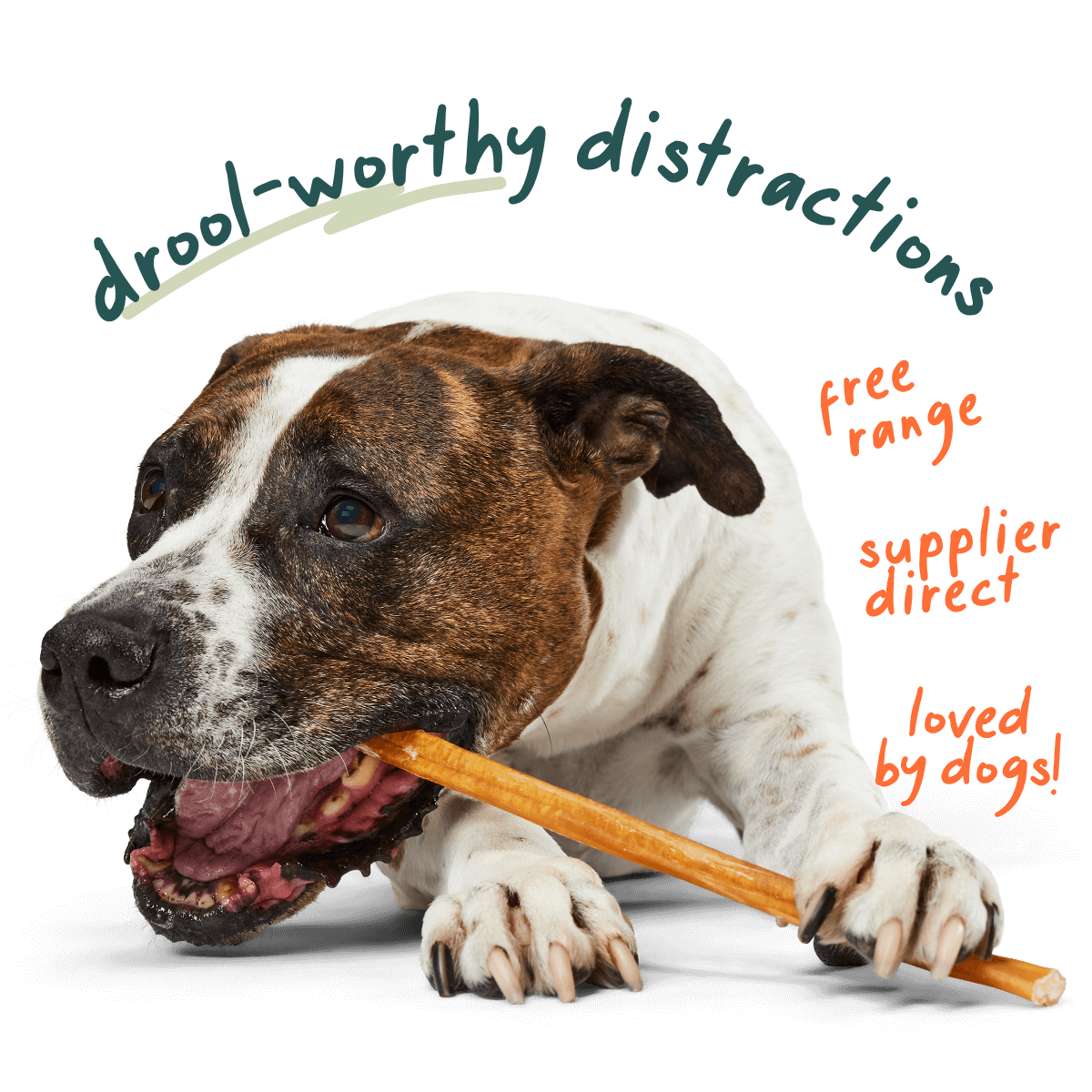 Free Range Bully Sticks