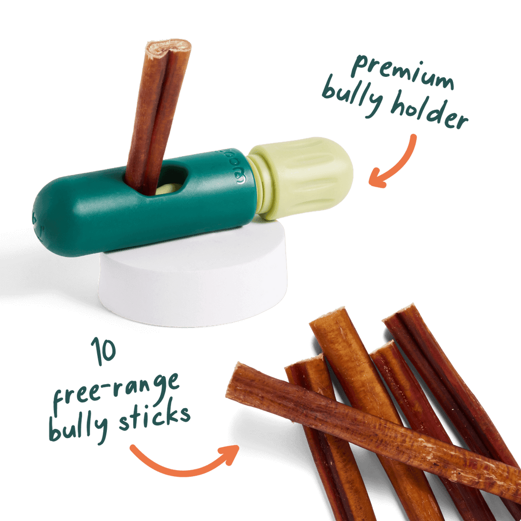 The BullySafe Better Pack