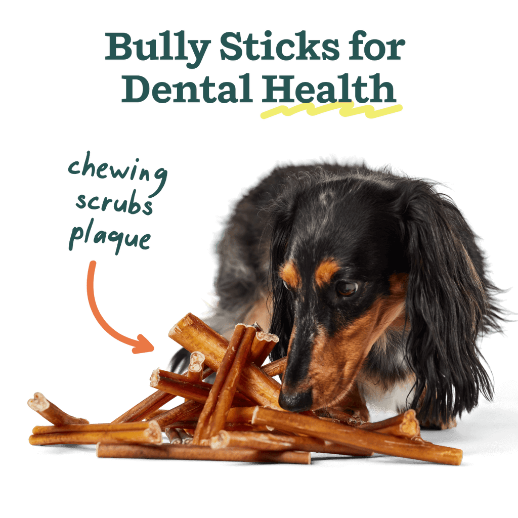 The BullySafe Better Pack