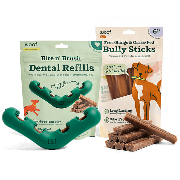 The Bite n' Brush Starter Pack