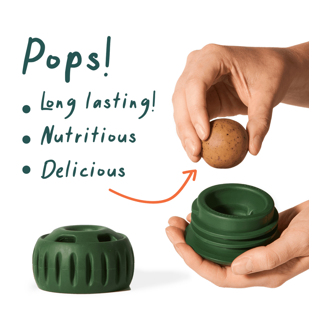 Chicken Pops: 2 Pack