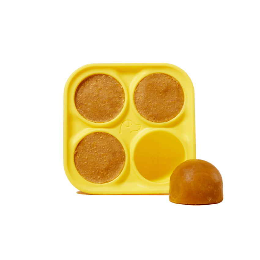 Pupsicle Treat Tray