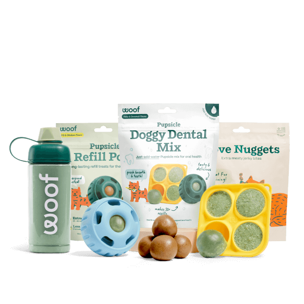 Dental Mix Starter Pack