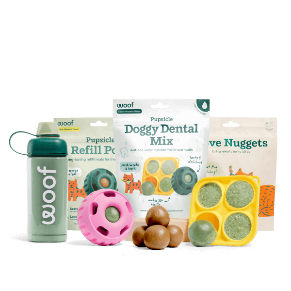 Dental Mix Starter Pack